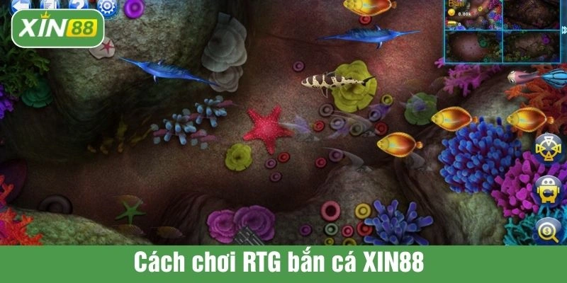Cách chơi RTG bắn cá XIN88 