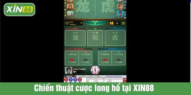 Chiến thuật cược long hổ tại XIN88 