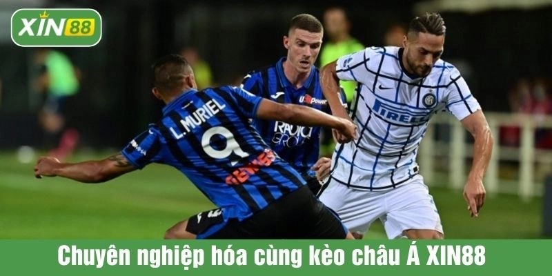 Chuyên nghiệp hóa cùng kèo châu Á XIN88 