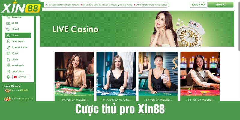 1 trong số cược thủ đỉnh chốp XIN88 ghi nhận