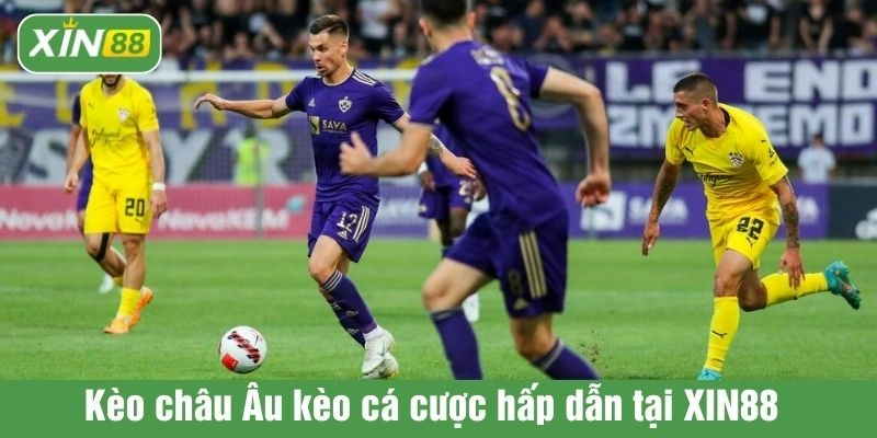 Kèo châu Âu kèo cá cược hấp dẫn tại XIN88 