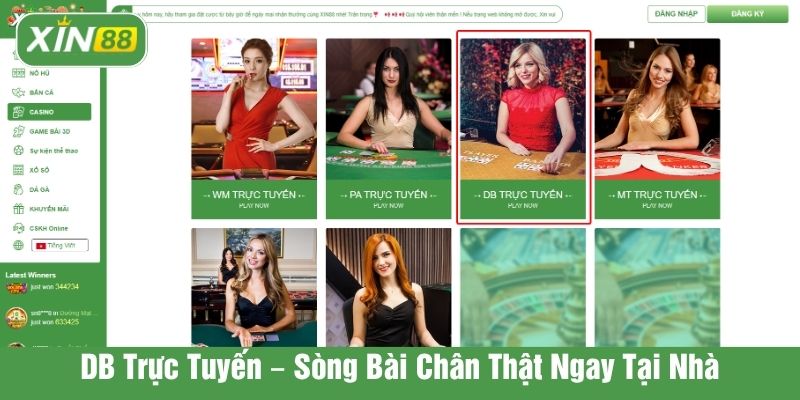 DB trực tuyến