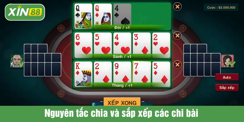 Nguyên tắc chia và sắp xếp các chi bài